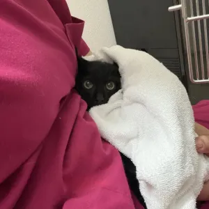赤ちゃんのサムネイル