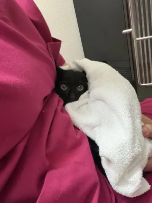 赤ちゃん
