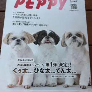 待合室🐩のサムネイル