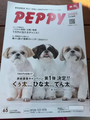 待合室🐩