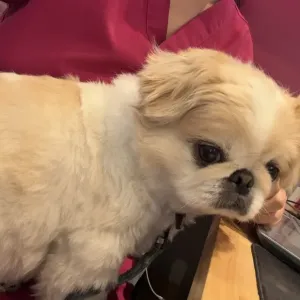 そわそわのサムネイル