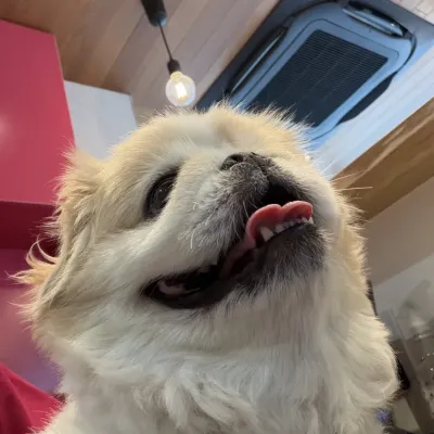 受付