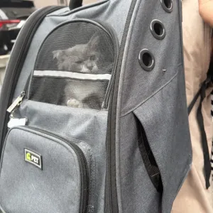 初めてののサムネイル