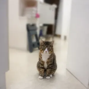 見てるのサムネイル