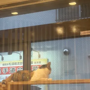 大雨・・・のサムネイル