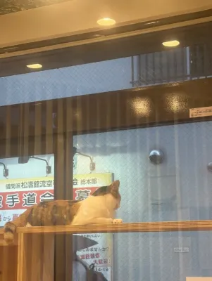 大雨・・・