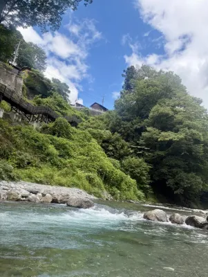 夏を満喫中