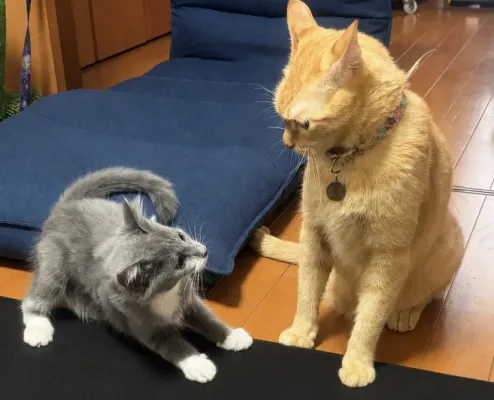 学び