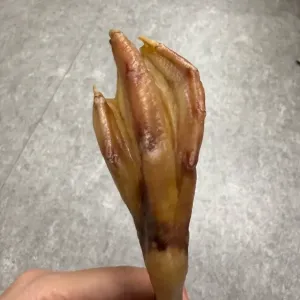 これはなんでしょう・・？のサムネイル