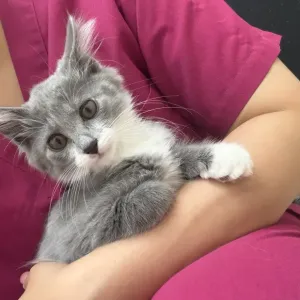 もうすぐのサムネイル