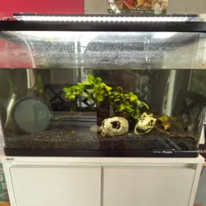 2階の待合🦐のサムネイル