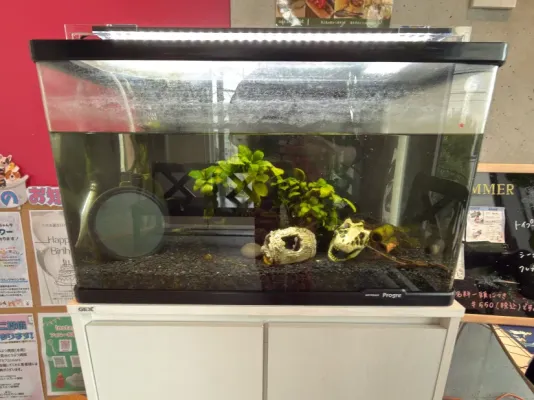2階の待合🦐