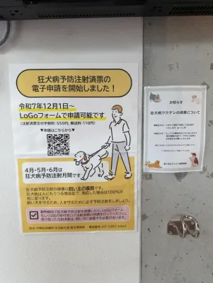 狂犬病予防接種の時期