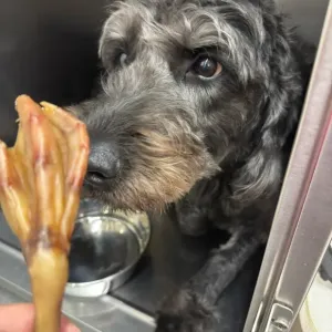 9月になりました🍁のサムネイル