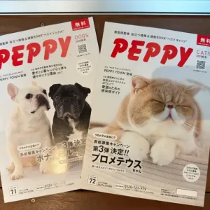 PEPPY秋冬号🐶🐱のサムネイル