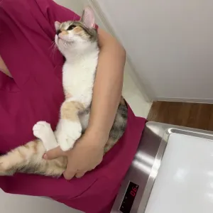 再会のサムネイル