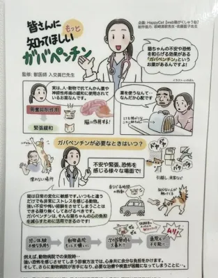 こわがりさんへ