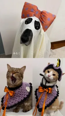 ハロウィン仮装🎃