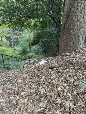 深大寺動物霊園へお参り🐾