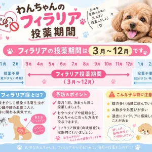 フィラリアのこと💊のサムネイル