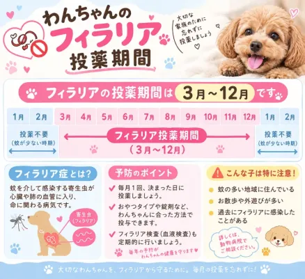 フィラリアのこと💊
