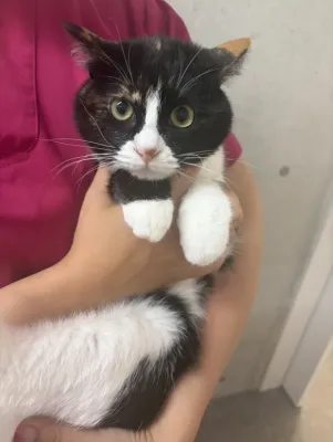 卒業生